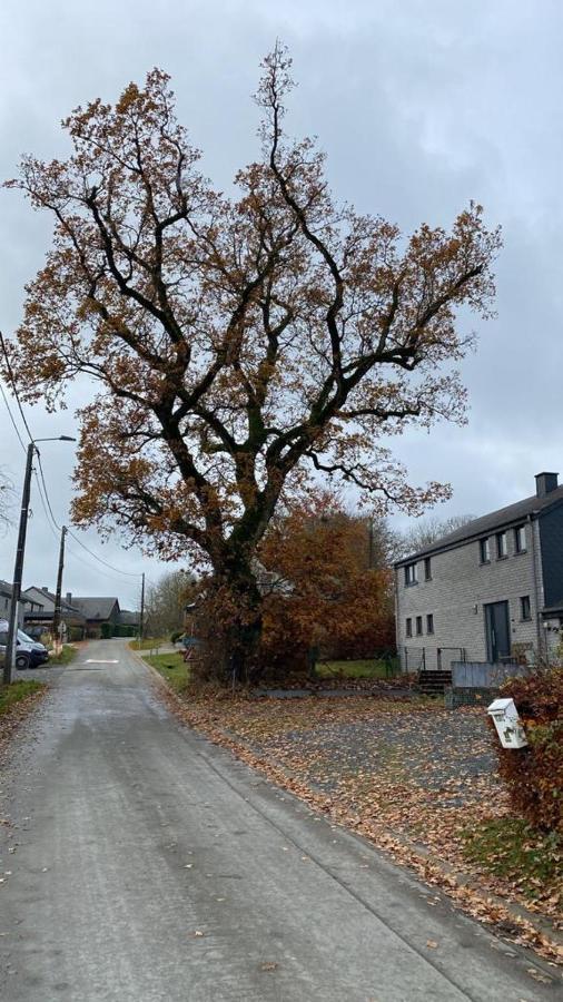 Le Gite Du Vieux Chene Bertogne Exteriér fotografie